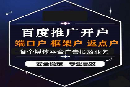某电商企业如何通过百度竞价广告提升销售额