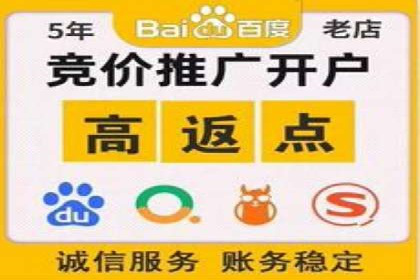 百度广告竞价策略详解：某电商平台的成功案例